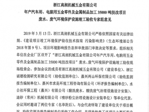 Acceptance opinions of the expert group of technological transformation projects